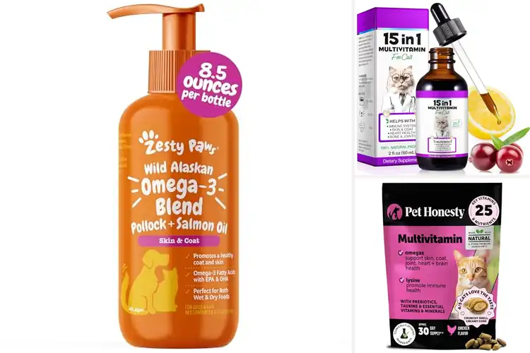 Detailed view of Best Cat Health Supplements
