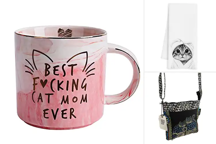 Detailed view of Best Cat Lover Gifts For Women
