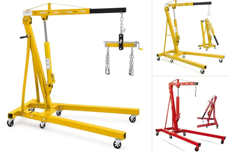 Detailed view of Best Cherry Pickers