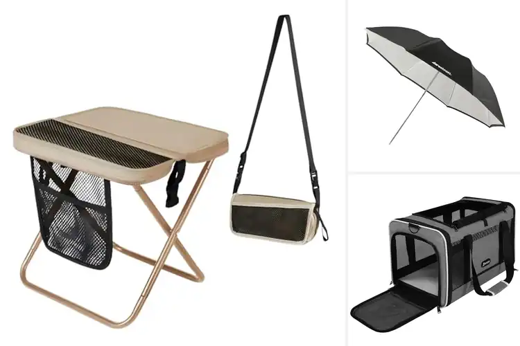 Detailed view of Best Convertible Top Collapsible