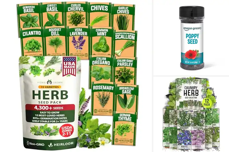 Detailed view of Best Cooking Seeds for Flavorful and Healthy Meals
