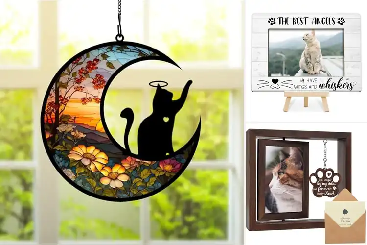 Detailed view of Best Loss of Cat Sympathy Gifts