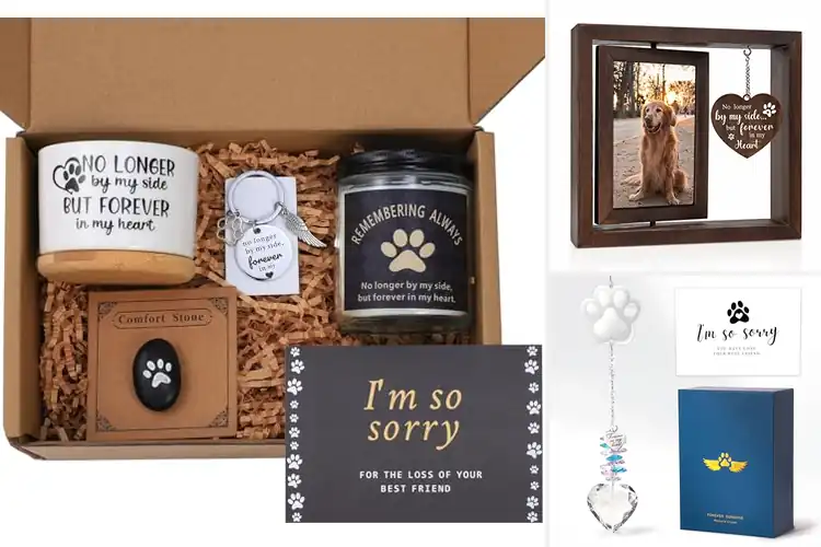 Detailed view of Best Loss of Pet Sympathy Gift