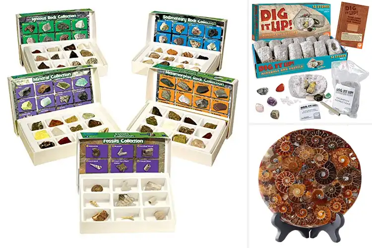 Detailed view of Best Mineral And Fossil Sets