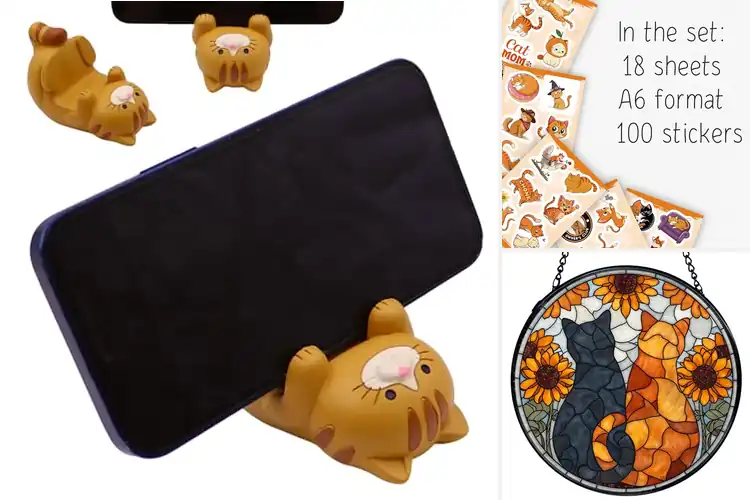 Detailed view of Best Orange Cat Decor