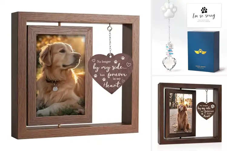 Detailed view of Best Pet Loss Gift