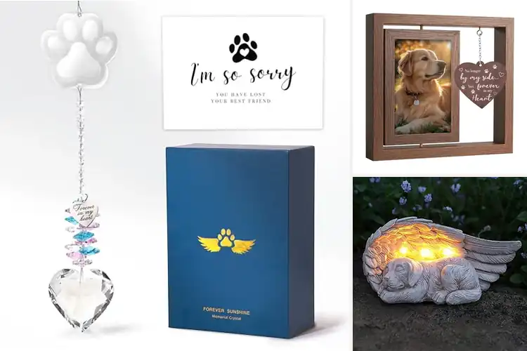 Detailed view of Best Pet Memorial Gift: 10 Heartfelt Ways to Honor Your Pet