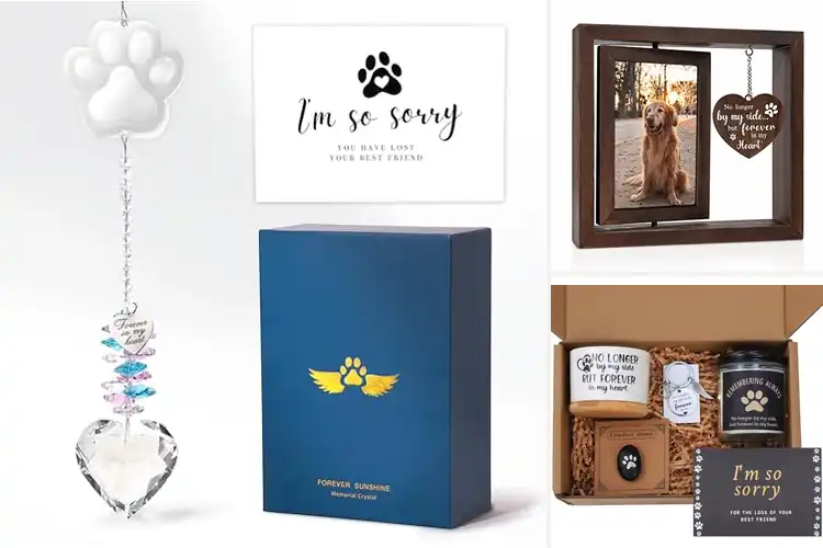 Detailed view of Best Pet Sympathy Gifts