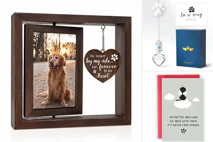 Detailed view of Best Sympathy Gifts For Pet Loss: Comforting Memorial Ideas